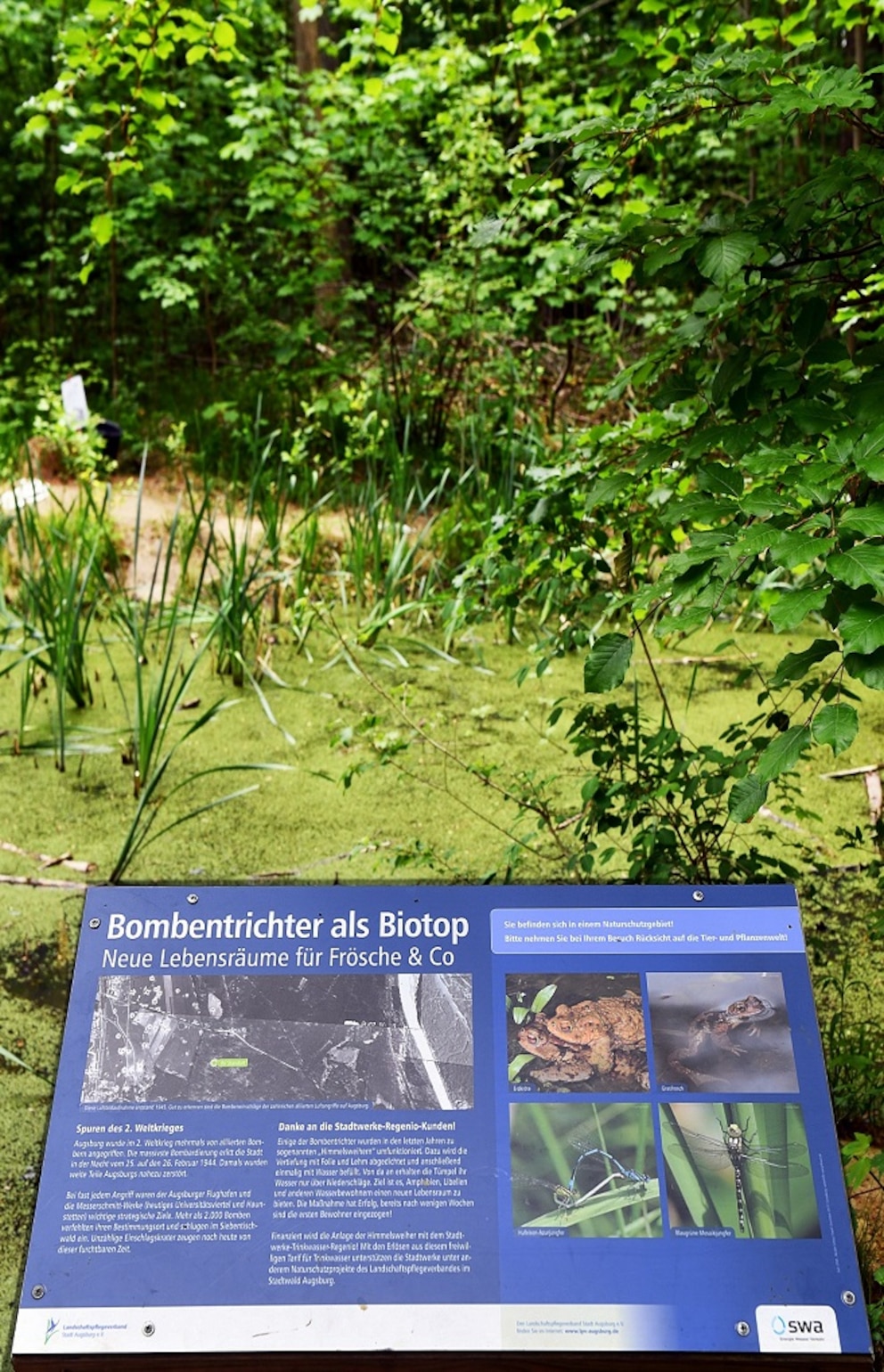 Himmelsweiher