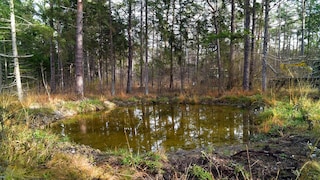 Himmelsweiher