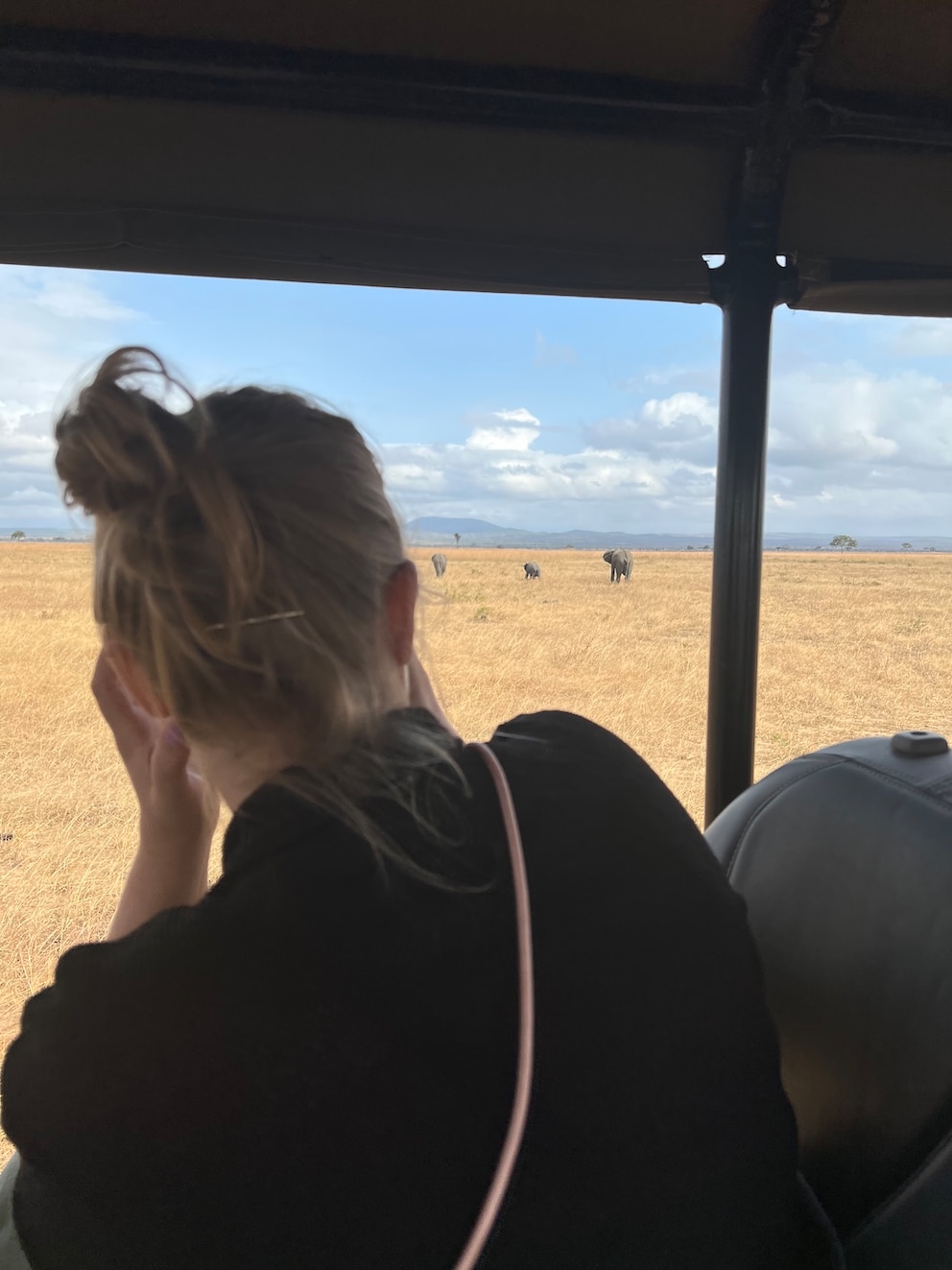 Einer der sch&ouml;nsten Momente w&auml;hrend der Reise: die Safari in Tansania