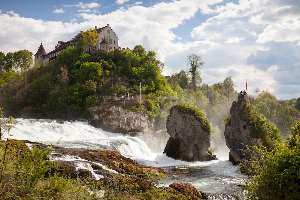 Rheinfall Wasserfall Schweiz