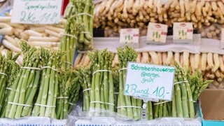 Spargel Spargelhöfe Deutschland