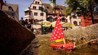 Die Bächle sind heute so etwas wie ein inoffizielles Wahrzeichen der Stadt Freiburg. Sie existieren bereits seit dem 13.Jahrhundert