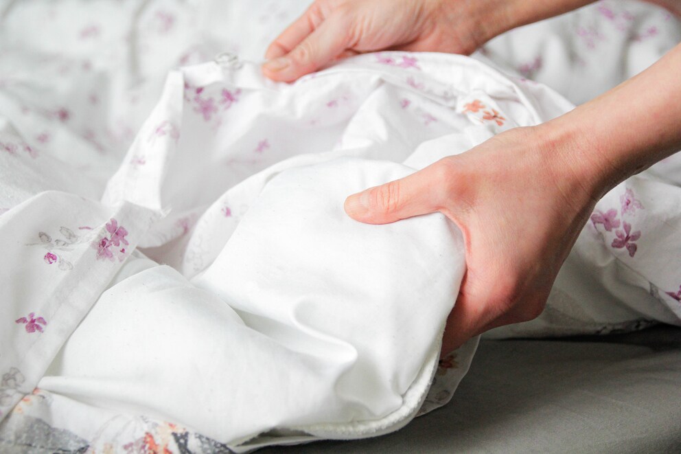 Bedbug smell hotel room