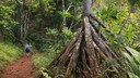 Kalalau Trail