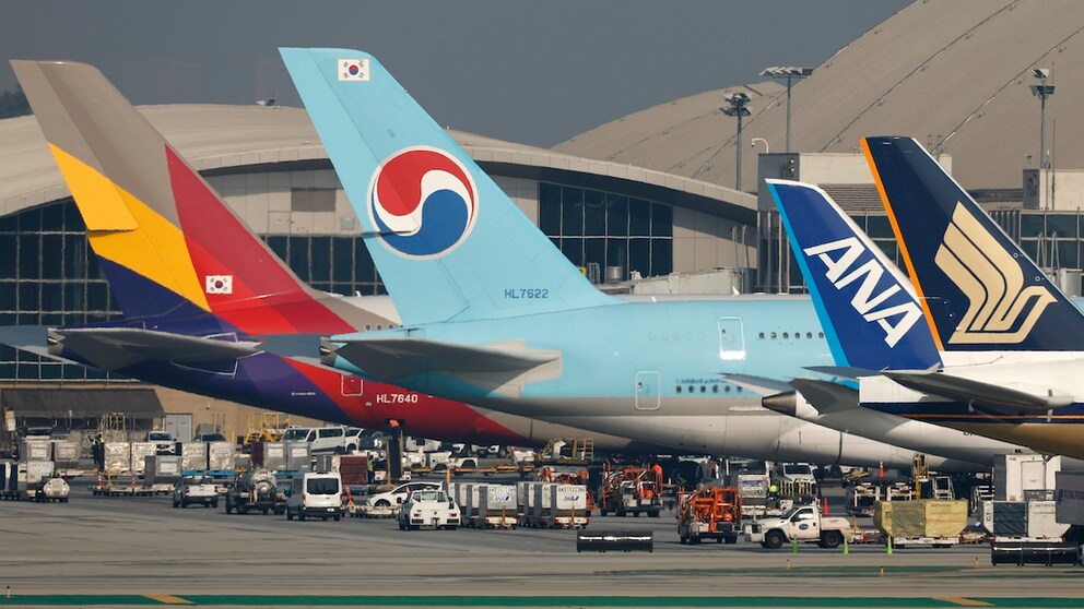 Würden Sie die Airlines nur anhand ihrer Logos erkennen?