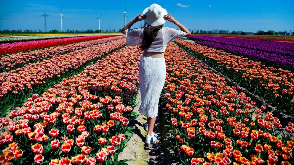 Tulpen ausflug ziele