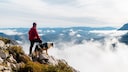 Wandern mit Hund