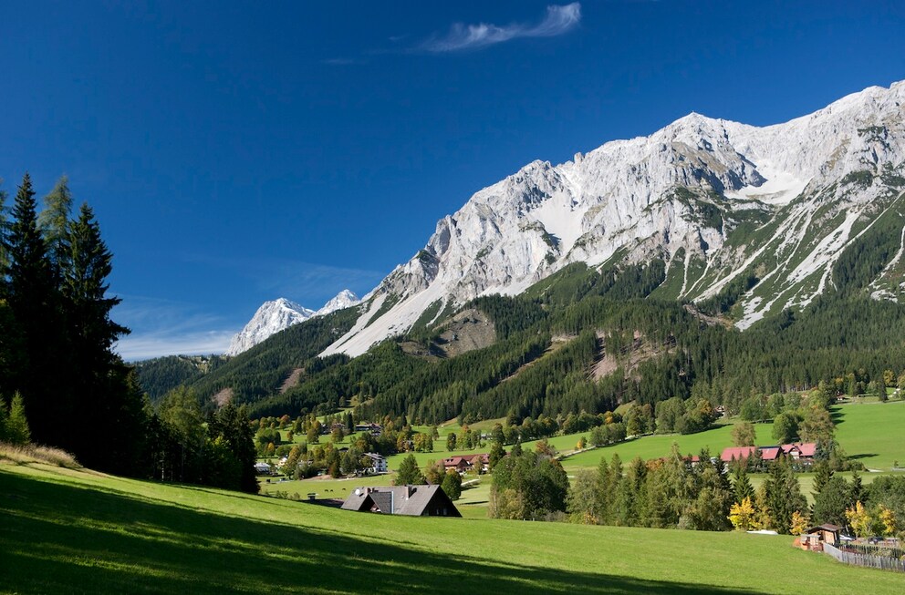 In Styria, there are many meadows, pastures, and nature