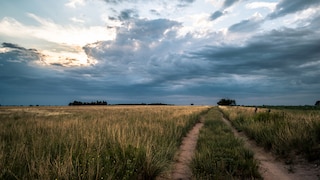 La Pampa in Argentinien