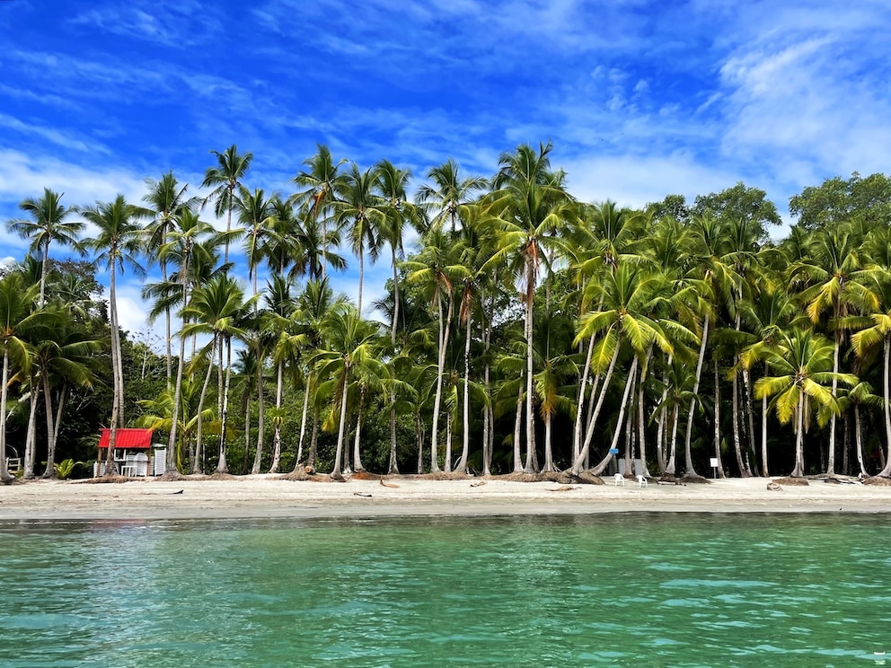 Boca Chica Panama Chiriqui