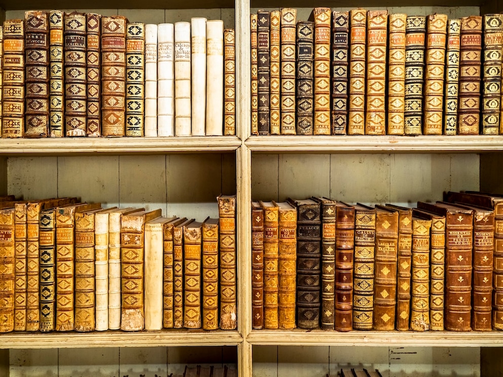 Bibliothek Flederm&auml;use