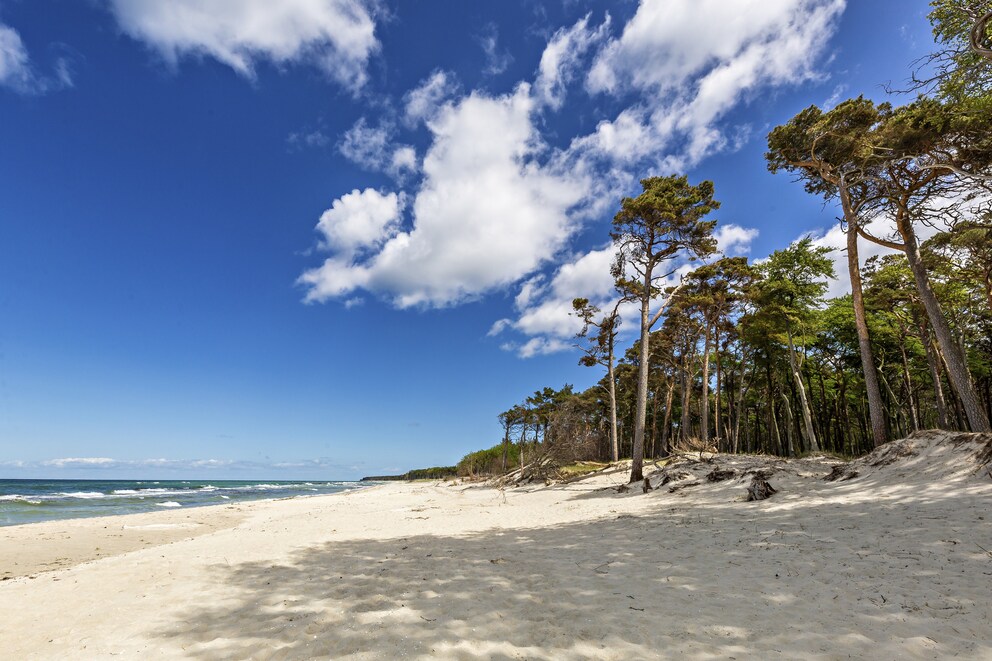 Fischland Darß Zingst