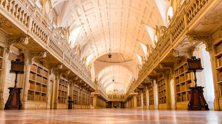 Bibliothek Fledermäuse