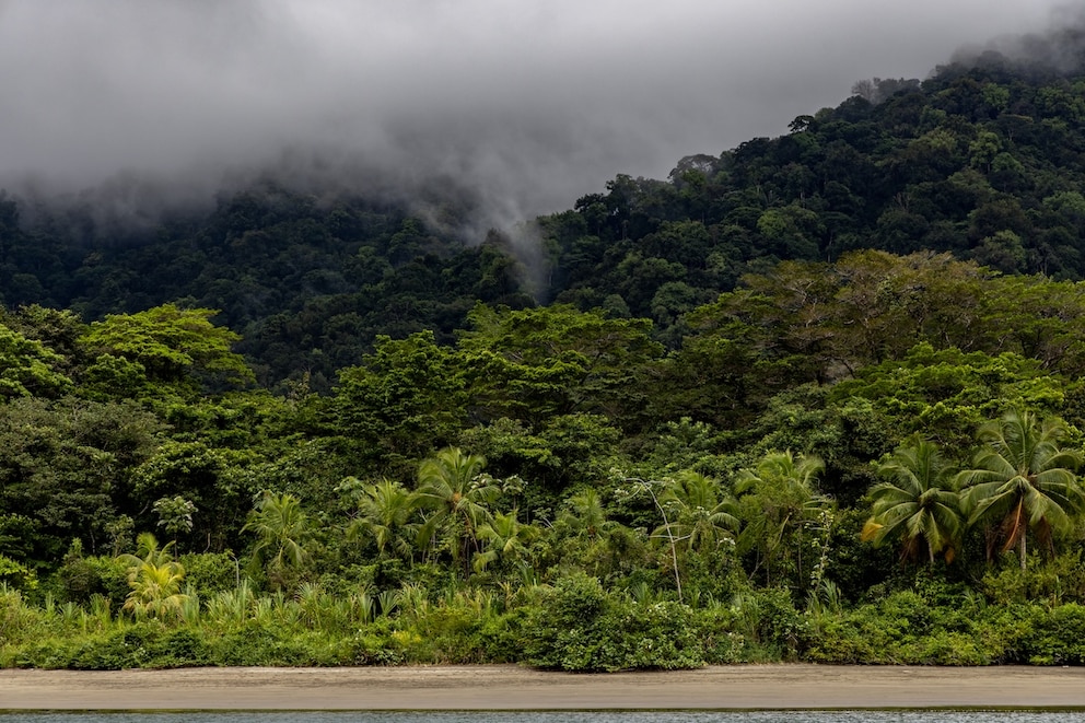 Nuqu&iacute; Kolumbien Utria Nationalpark