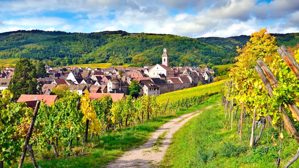 Riquewihr befindet sich im Elsass und ist nur 30 Kilometer vom Rhein entfernt
