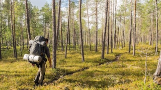 Finnland Schatzsuche Gold Midnight sun hunt