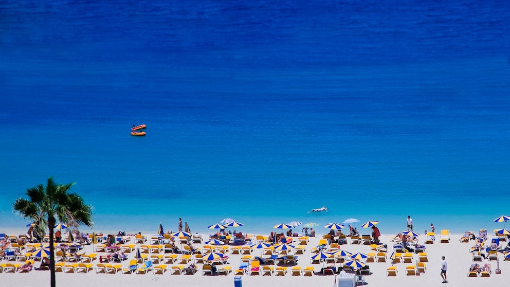 Wer nach Gran Canaria fliegt, kann noch echte Last-Minute-Schnäppchen machen