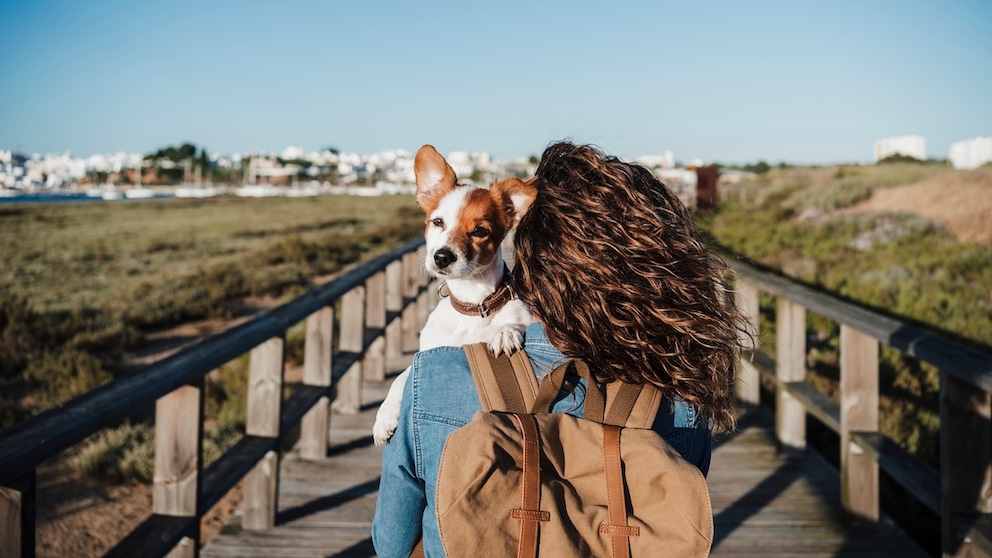 Damit im Urlaub Mensch und Hund glücklich sind, muss vorab einiges beachtet werden