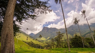 Bei einer Wanderung durch das „Valle de Cocora“ ist unsere Autorin beinahe festgenommen worden