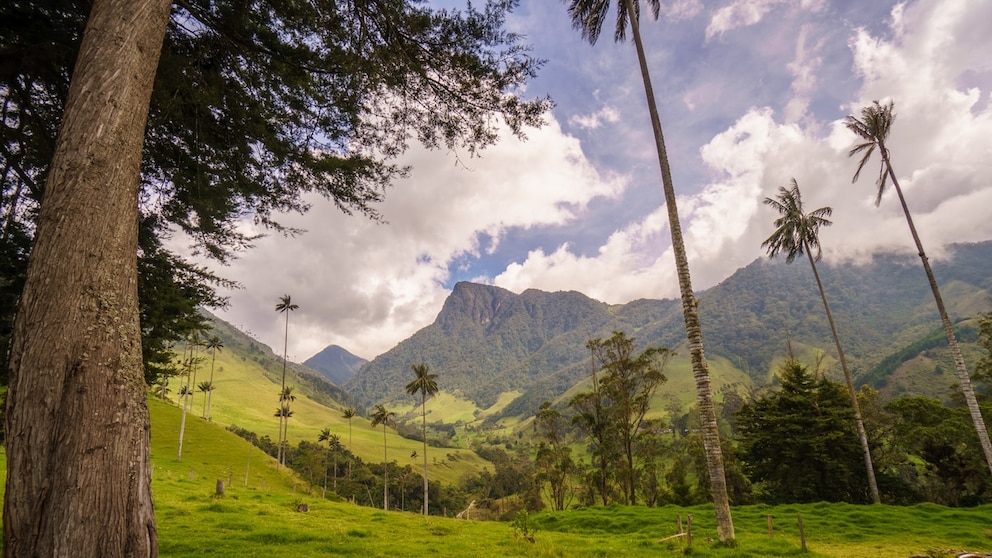 Bei einer Wanderung durch das „Valle de Cocora“ ist unsere Autorin beinahe festgenommen worden