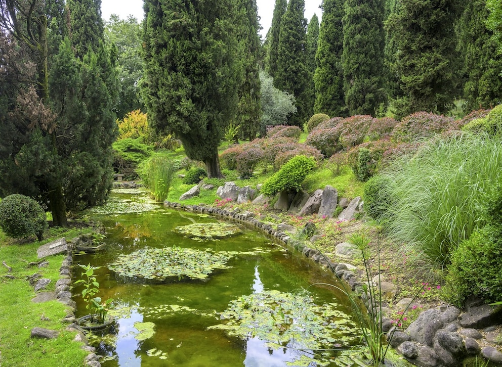 Ein Teich im Parco Giardino Sigurt&agrave;