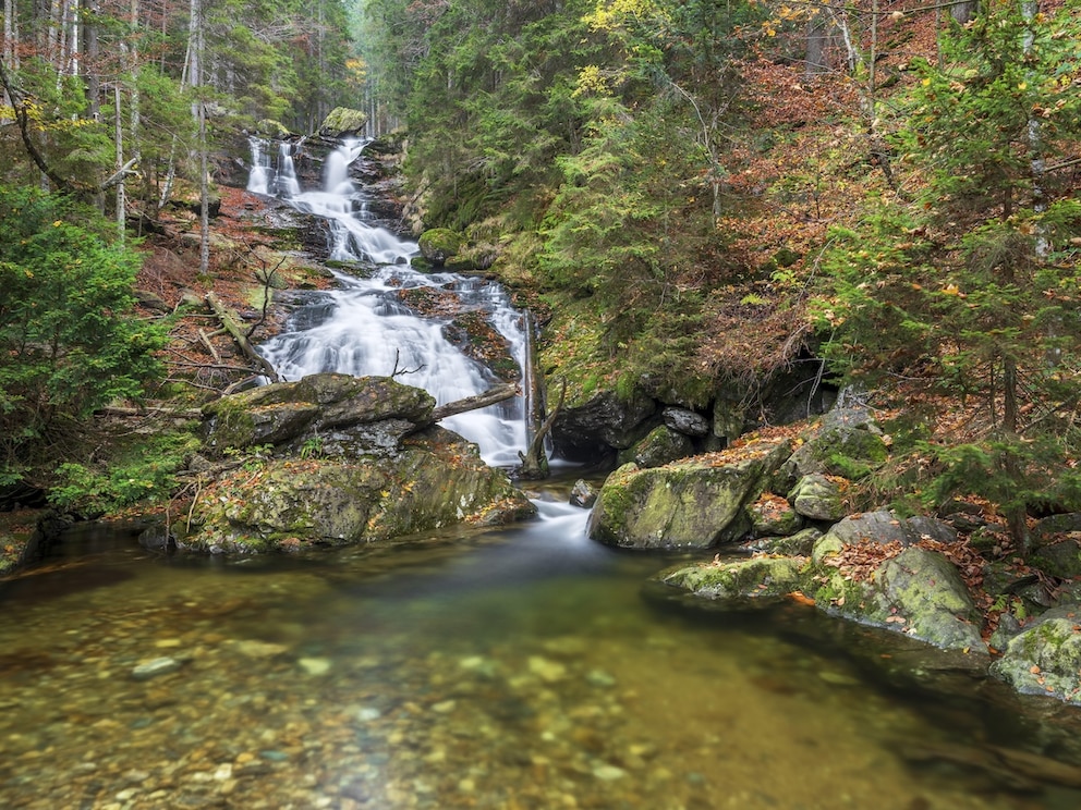 Die Ri&szlig;lochwasserf&auml;lle im Bayerischen Wald