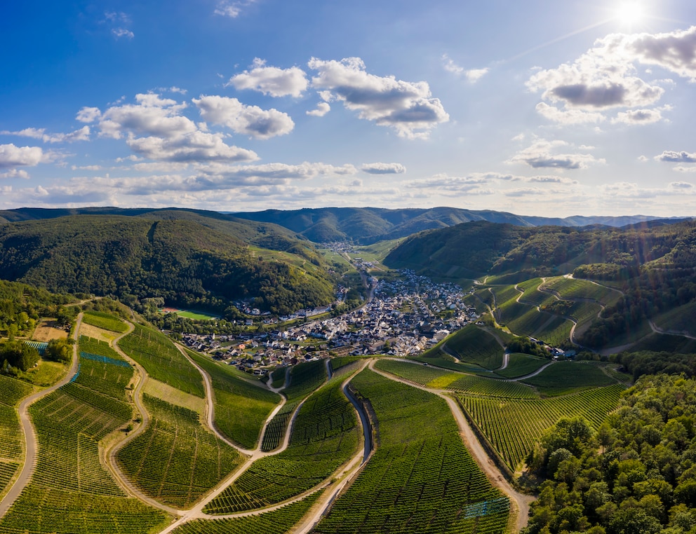 Weinanbau im Ahrtal