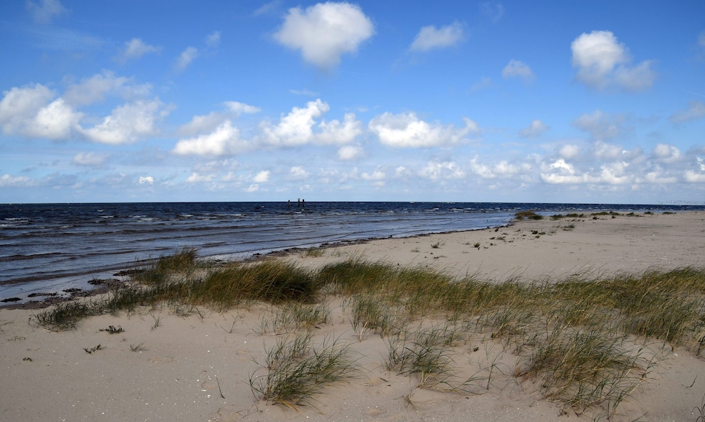 Beach of the bird sanctuary island Scharhörn (Hamburg)