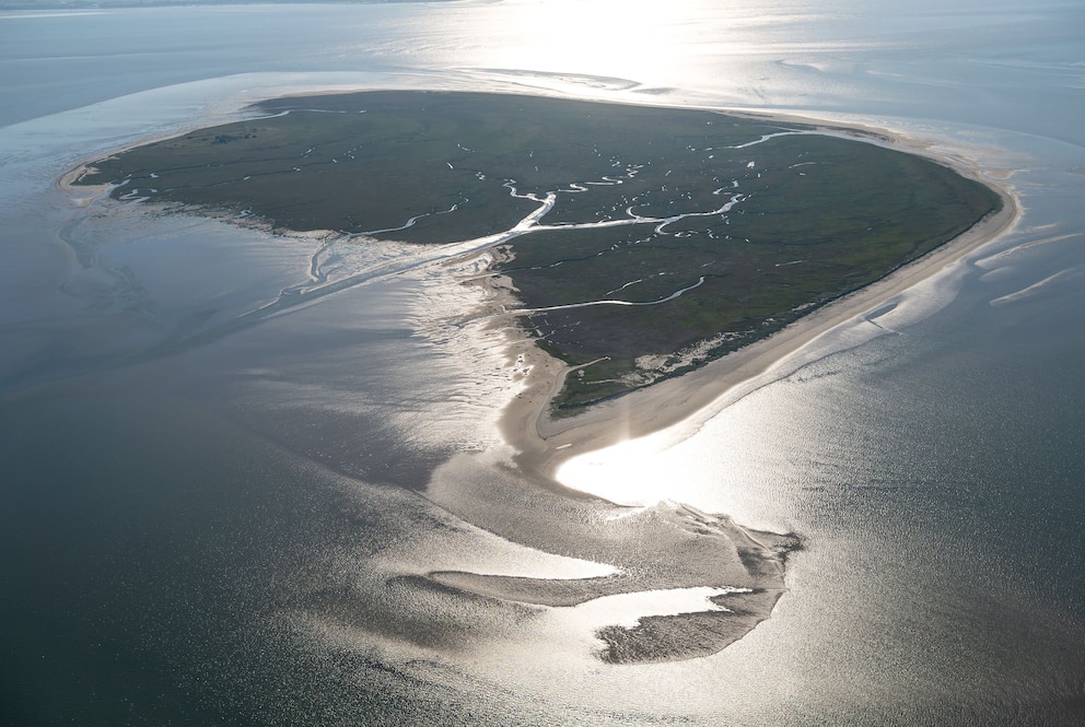 Nordseeinsel Mellum