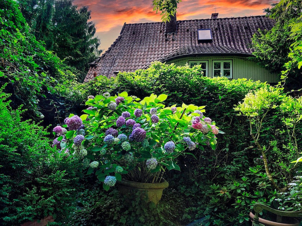 Café garden of the former studio of painter Clara Rilke-Westhoff in Fischerhude