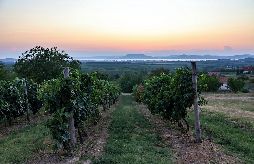 Balaton