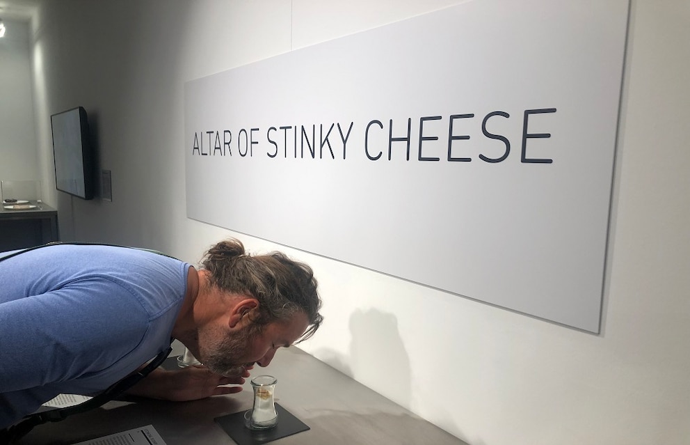 Disgusting Food Museum