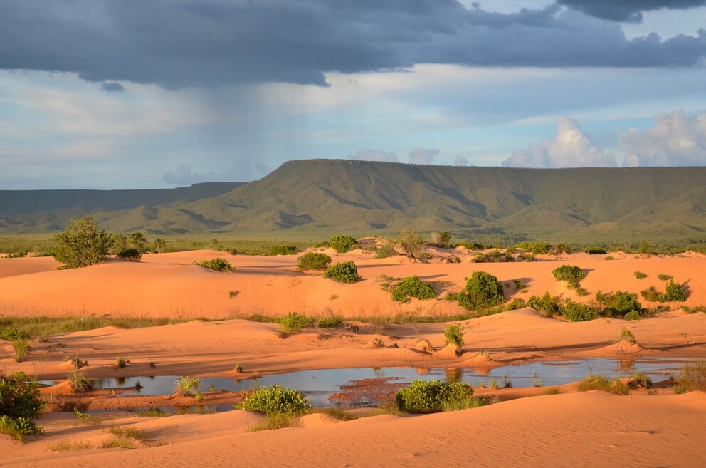 Dune landscape in Jalapão State Park in Brazil