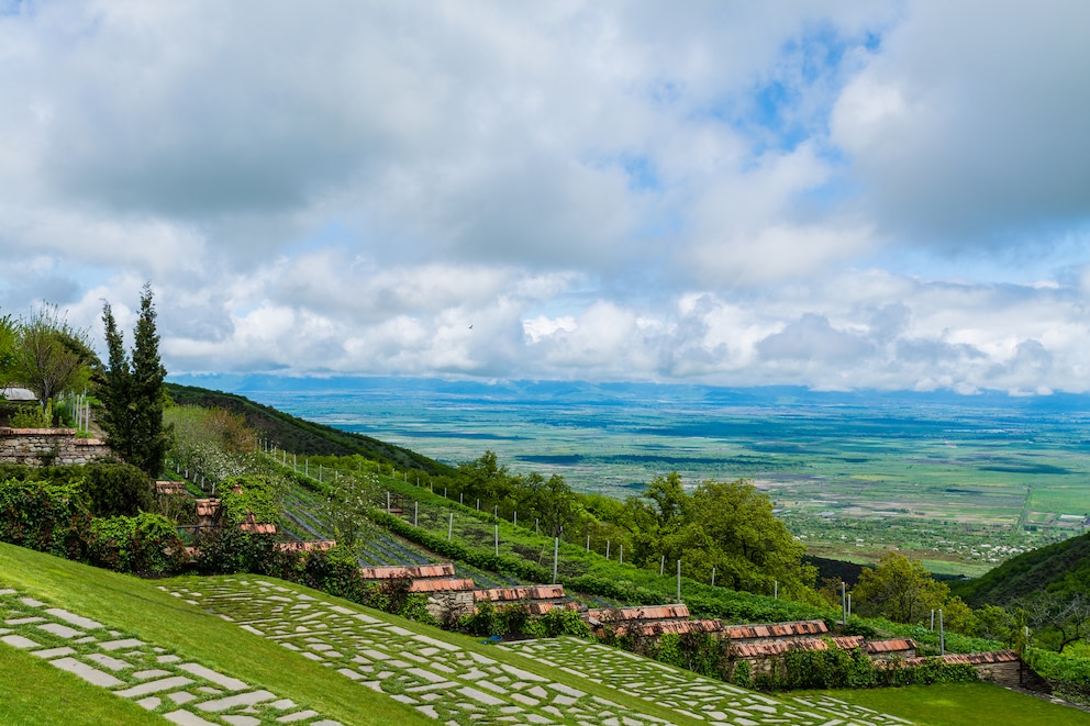 Wine region Kakheti in Georgia