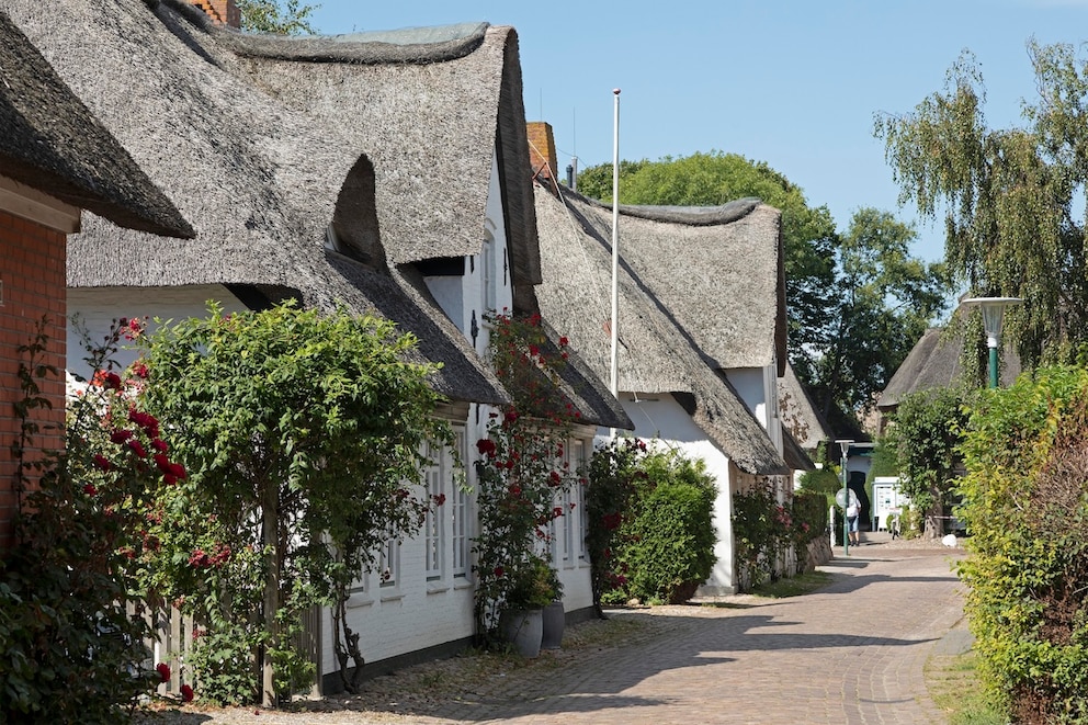 Reetgedeckte H&auml;user in Nieblum auf der Insel F&ouml;hr