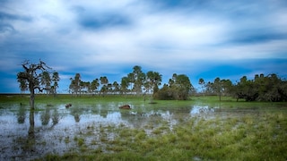 Der Parque Nacional Iberá in Argentinien