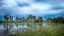 Der Parque Nacional Iber&aacute; in Argentinien
