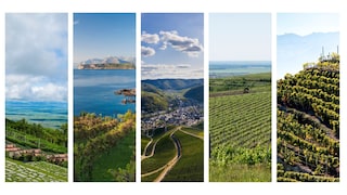 Weinanbau Gebiete Europa