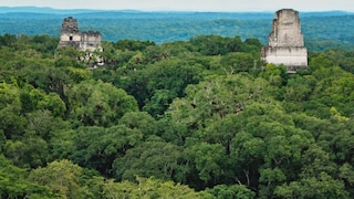 Tikal-Ruinen in Petén, Guatemala