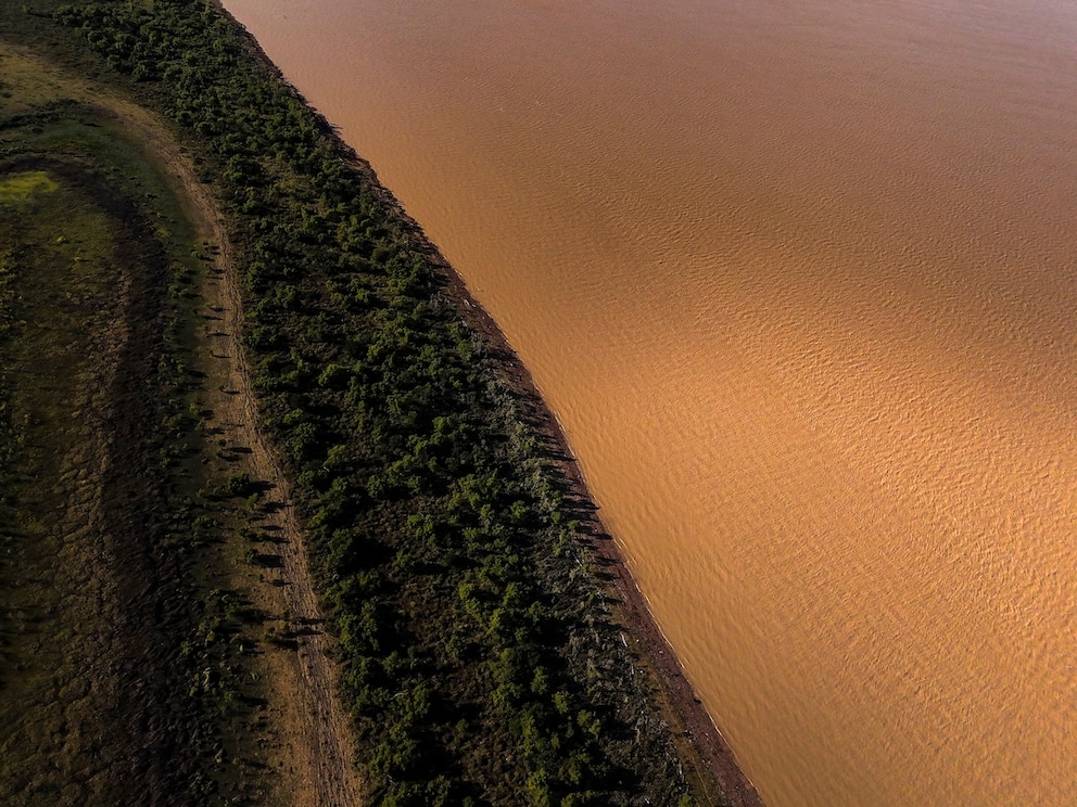 Der Paran&aacute; Fluss trifft hier auf die reiche, sattgr&uuml;ne Vegetation Argentiniens