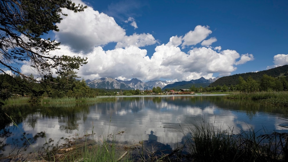 Rund um den Wildsee bei Seefeld gibt es einen barrierefreien Rundwanderweg