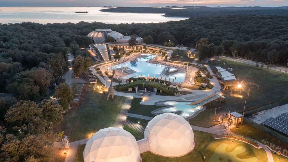 Paleo Park & Wellness
