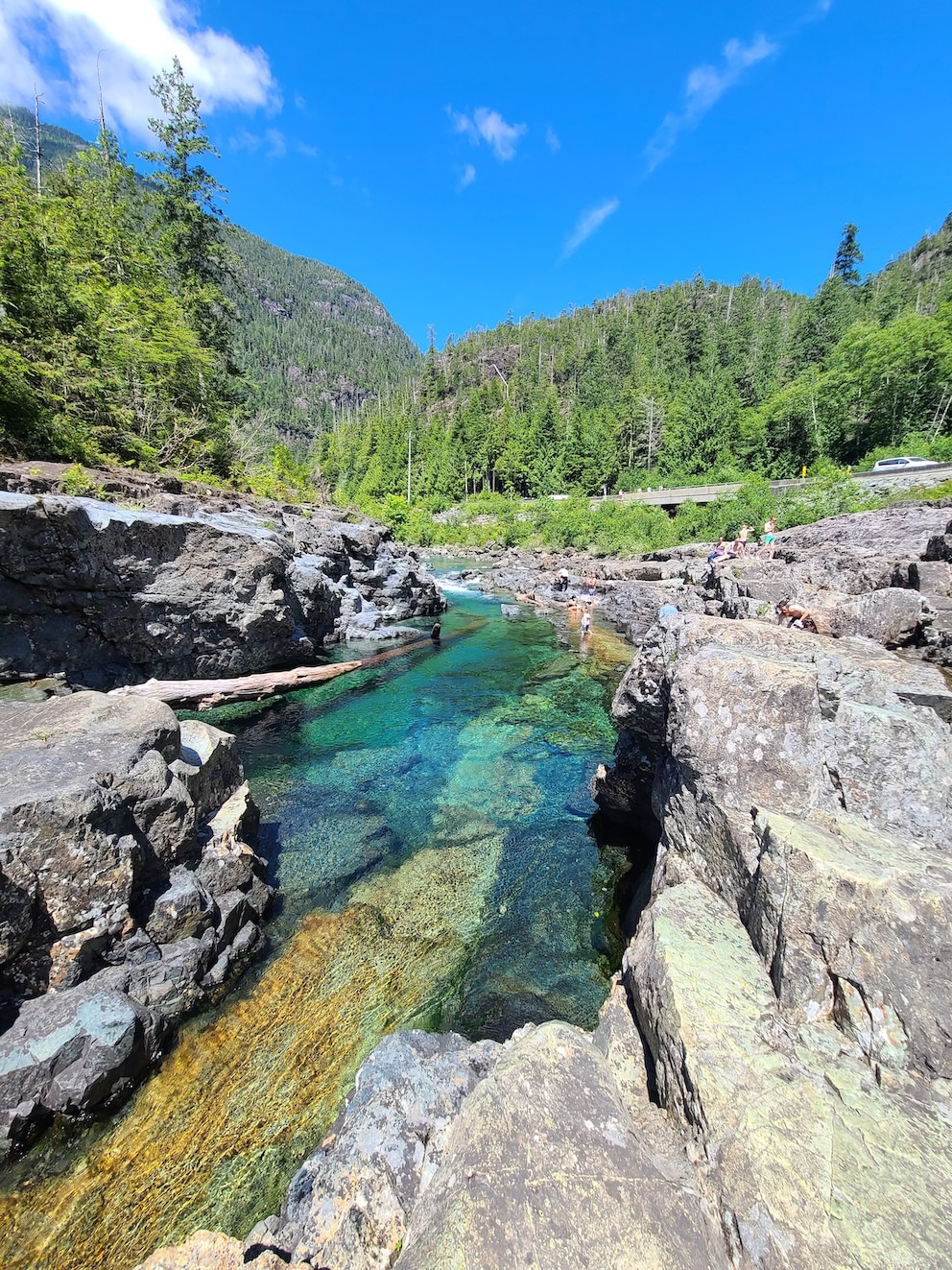 Wally Creek