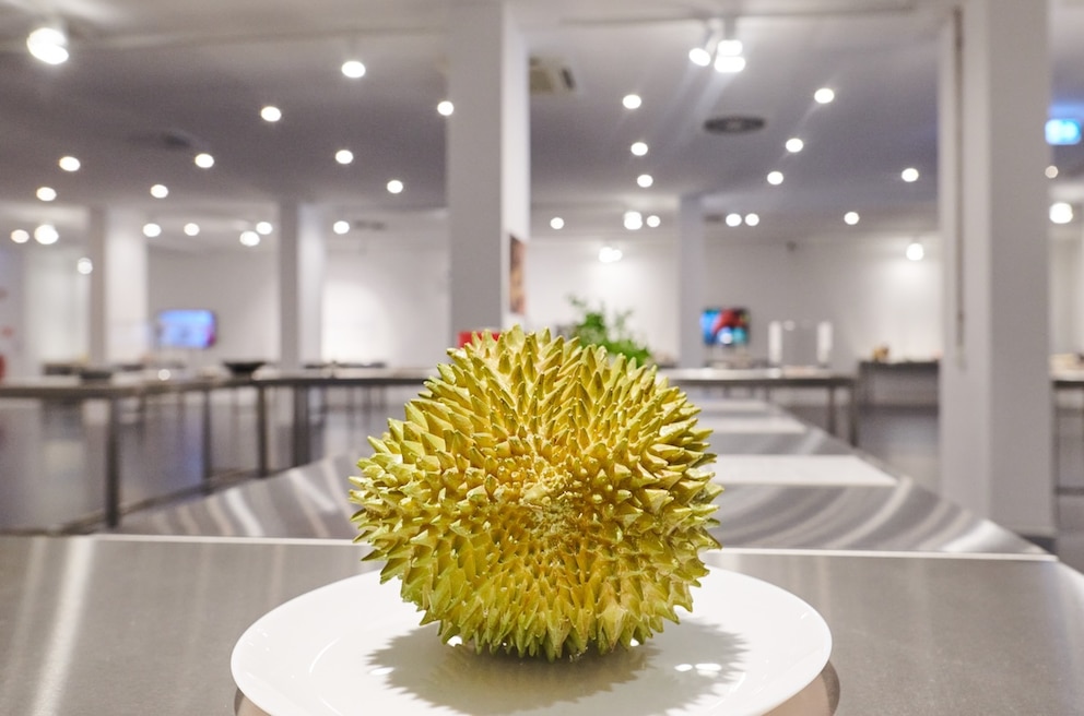 Eine Durian-Frucht liegt auf einem Teller im Disgusting Food Museum Berlin