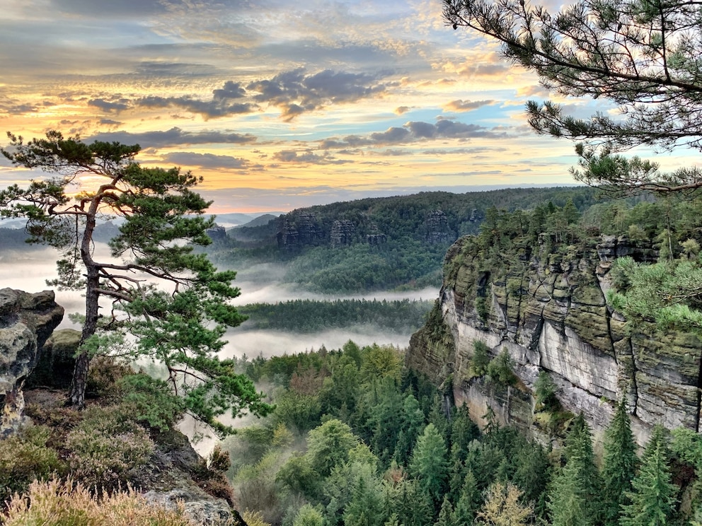 Wanderung am Kleinen Winterberg