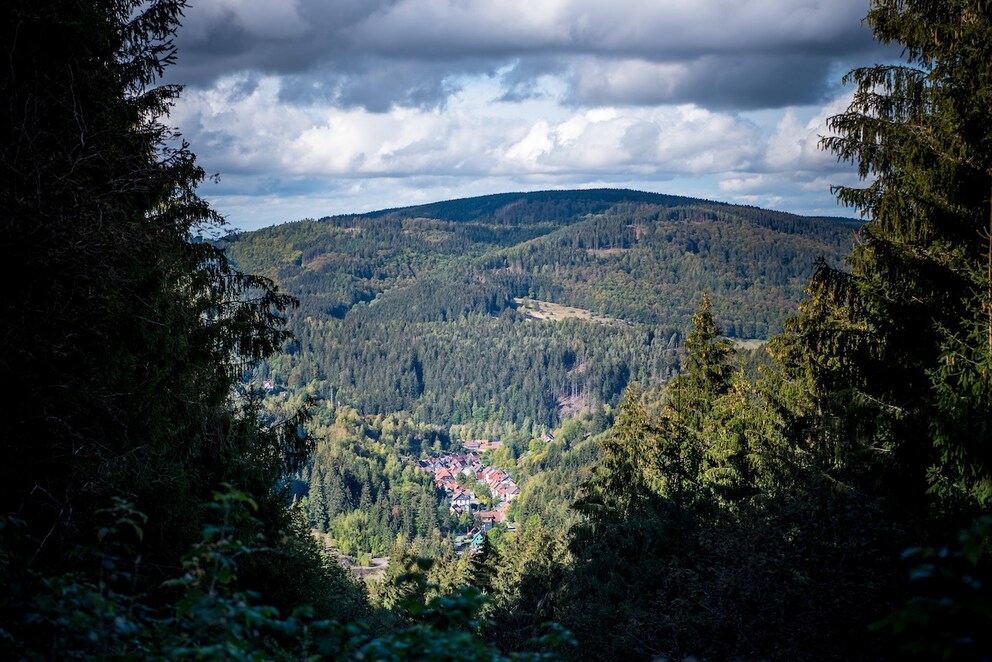 Village