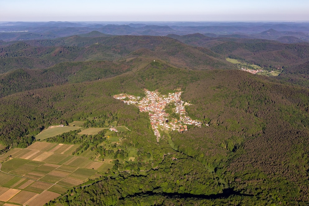 Umgeben von Wald und Forstgebieten: D&ouml;rrenbach in der Pfalz