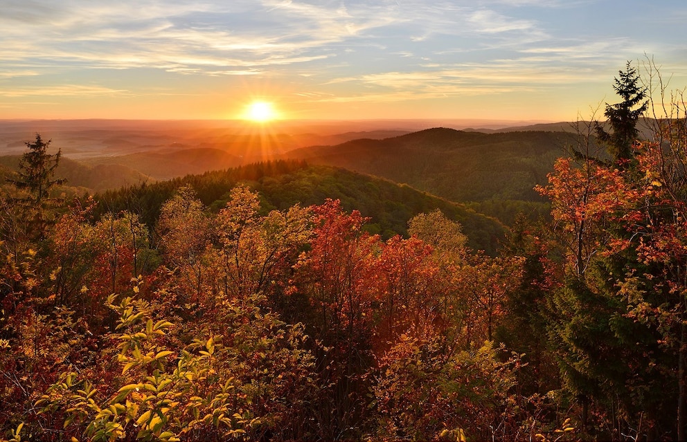 Harz