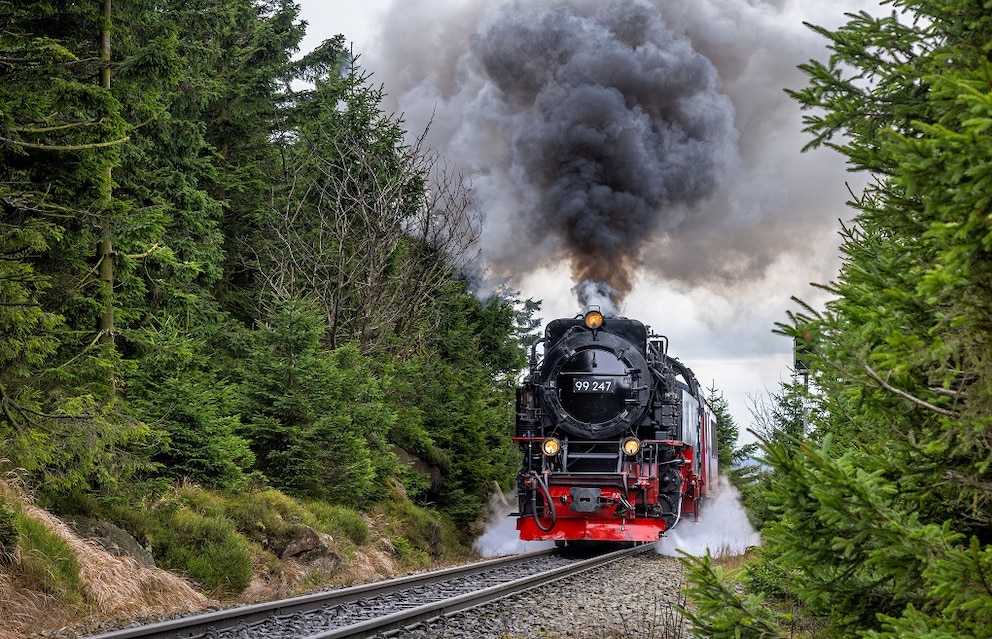 Harz
