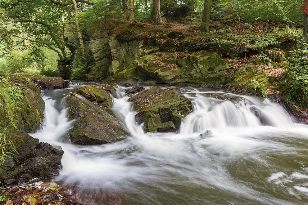 Harz